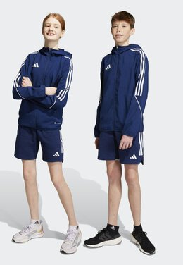 Adidas: Синие шорты  Tiro