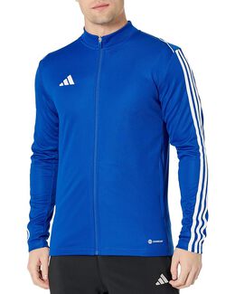 Adidas: Синяя куртка  Training