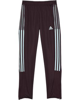 Adidas: Голубые брюки  Tiro