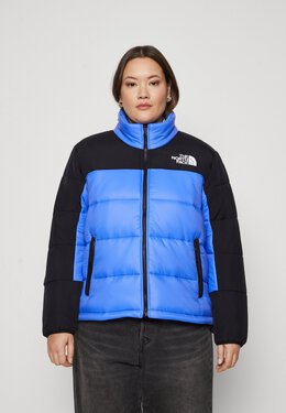 The North Face: Зимний пуховик 