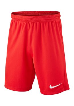 Nike: Спортивные шорты  Dri FIT