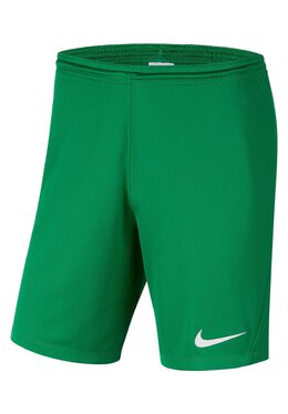 Nike: Спортивные шорты  Dri FIT