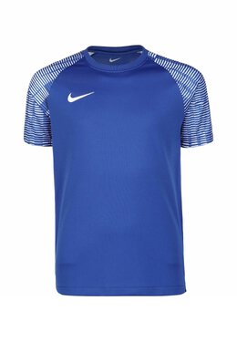 Nike: Голубая майка  Academy