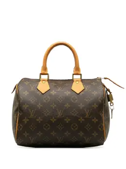 Louis Vuitton Pre-Owned: Коричневая сумка