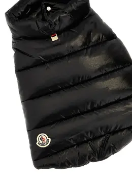 Moncler Genius: Чёрный жилет 