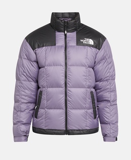 The North Face: Тёмный пуховик