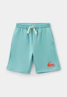 Quiksilver: Спортивные шорты 