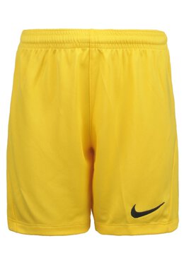 Nike: Спортивные шорты  Dri FIT