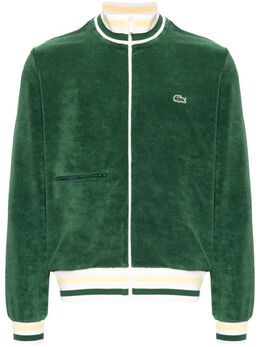 Lacoste: Куртка из велюра 