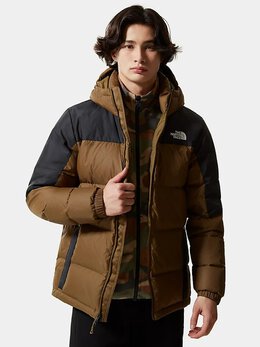 The North Face: Коричневый пуховик 