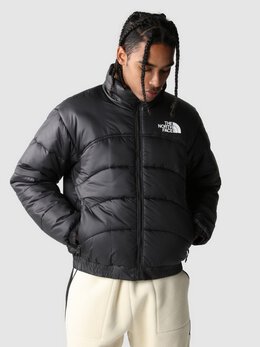 The North Face: Зимний пуховик  Synthetic