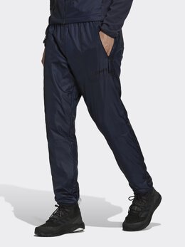 Adidas: Спортивные брюки  Terrex