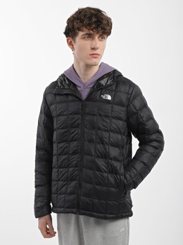 The North Face: Зимний пуховик  Thermoball Eco