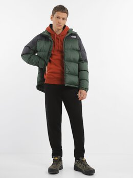 The North Face: Зимний пуховик 