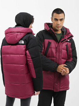 The North Face: Фиолетовый пуховик  Hmlyn