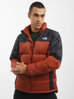 The North Face: Коричневый пуховик 