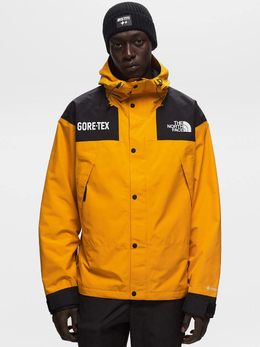 The North Face: Зимний пуховик  Mountain