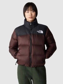 The North Face: Зимний пуховик  Nuptse