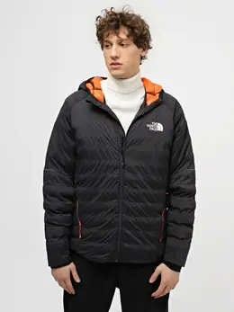 The North Face: Зимний пуховик  Synthetic