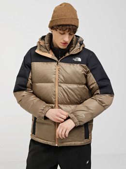 The North Face: Коричневый пуховик 