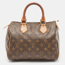 Louis Vuitton: Коричневая сумка  Speedy 25