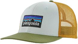 Patagonia: Кепка 