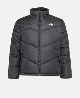 The North Face: Зимний пуховик