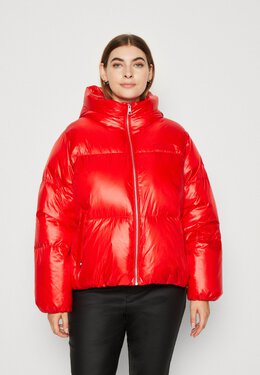 Tommy Hilfiger: Куртка  Curve