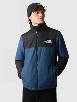 The North Face: Демисезонная куртка  Gosei