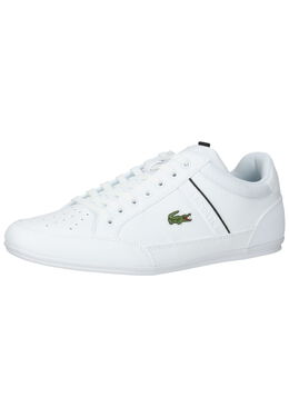 Lacoste: Белые кроссовки 