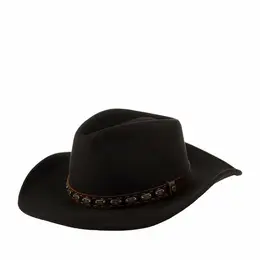 STETSON: Коричневая шляпа