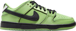 Nike: Зелёные кроссовки  Dunk Low Pro SB