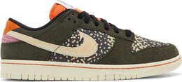 Nike: Радужные кроссовки  Dunk Low SE