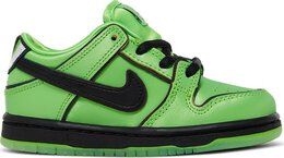 Nike: Зелёные кроссовки  Dunk Low Pro SB