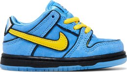 Nike: Синие кроссовки  Dunk Low Pro SB