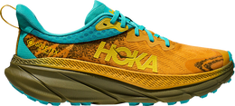 HOKA: Золотые кроссовки 