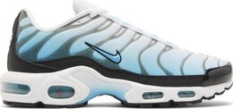 Nike: Голубые кроссовки  Air Max Plus