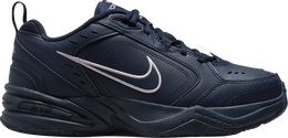 Nike: Синие кроссовки  Air Monarch IV