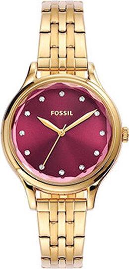 Fossil: Часы 