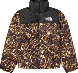 The North Face: Коричневая куртка  1996 Retro Nuptse