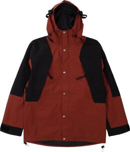 The North Face: Светлая куртка  1994 Retro Mountain Light Futurelight