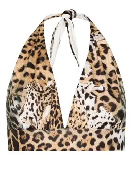 Roberto Cavalli: Купальник 