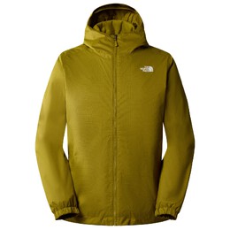 The North Face: Зимний пуховик  Quest