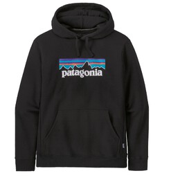 Patagonia: Толстовка с капюшоном 