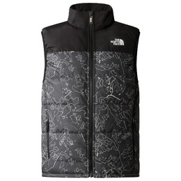 The North Face: Жилет  Synthetic с принтом