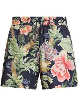 ETRO: Плавки 