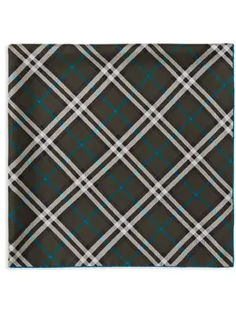 Burberry: Тёмный шарф 