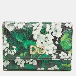 Dolce & Gabbana: Зелёный кошелёк  DG