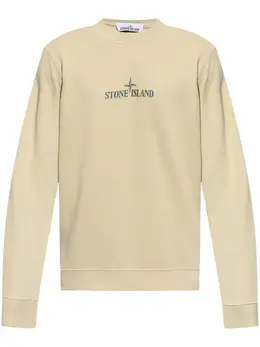 Stone Island: Свитшот с принтом 