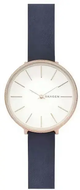 Skagen: Часы 